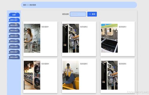 基于Python的干洗店預約洗衣系統設計與實現